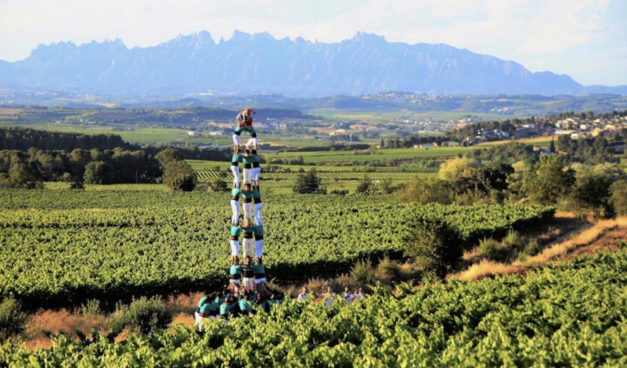 Tina De Vila, En La Capital Del Vino Vilafranca del Penedès Esterno foto