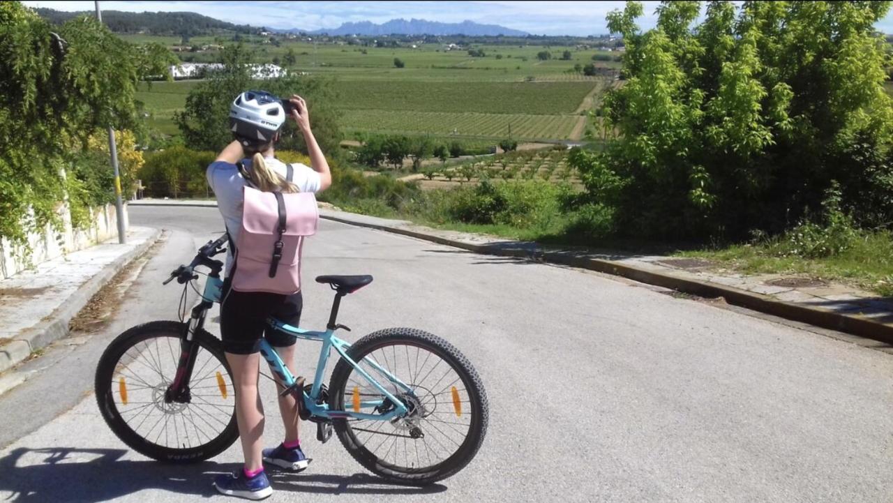 Tina De Vila, En La Capital Del Vino Vilafranca del Penedès Esterno foto